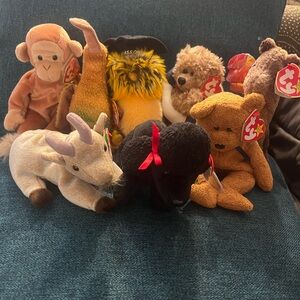 Ty Plush Toy Assortment - Black, Brown, Cream, and More